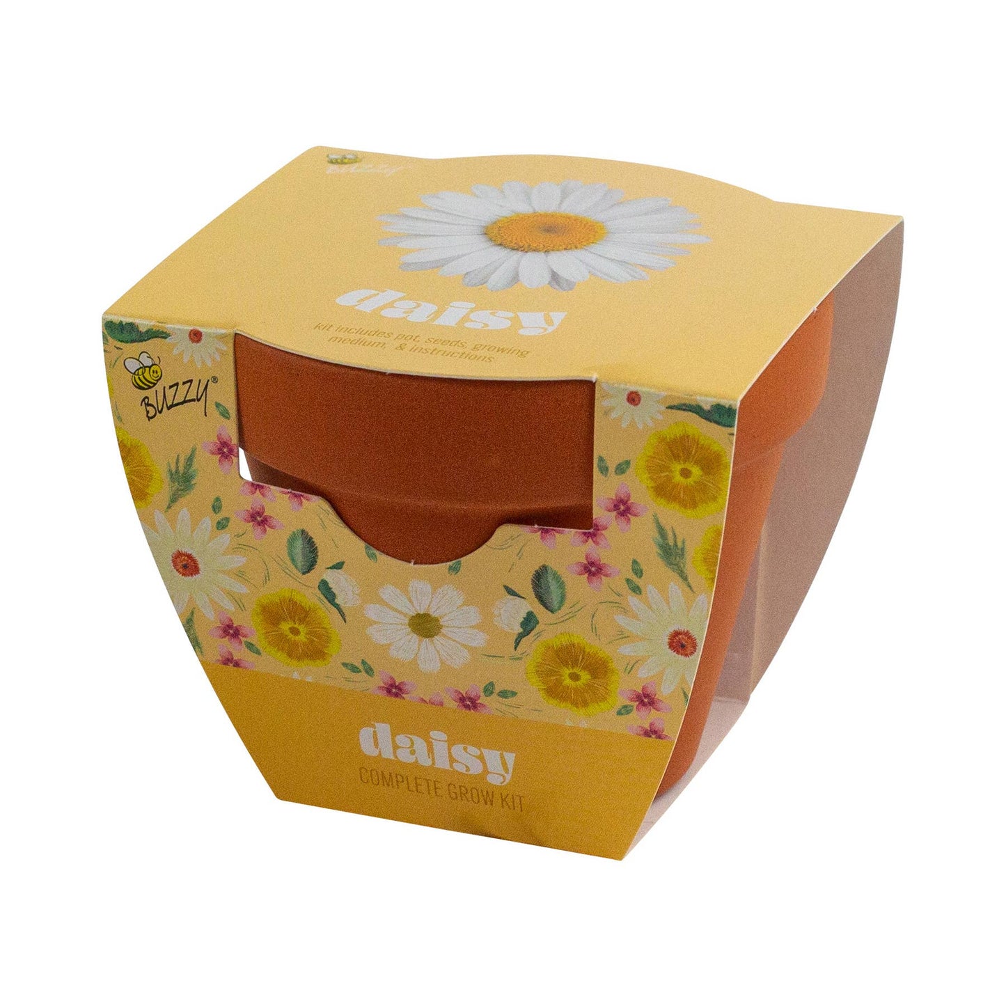 Buzzy Seeds Classic (7cm) Terra Cotta Grow Kit - Daisy