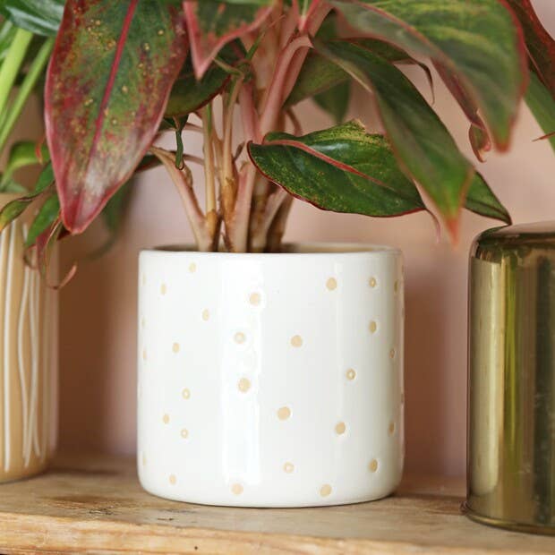 Grow Your Own Way Planter