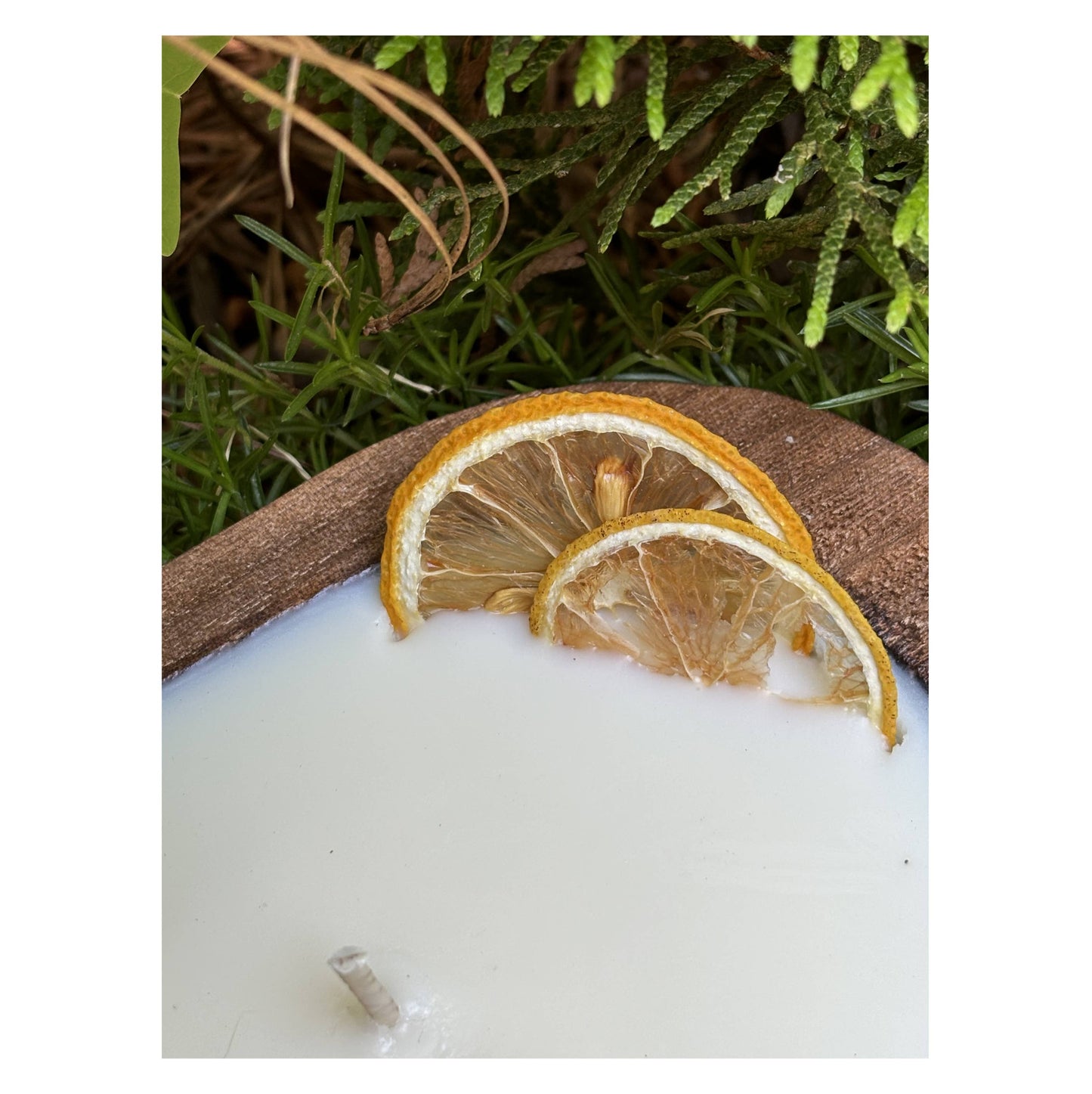 Citrus Sunshine Scented Soy Dough Bowl - Citrus Candle