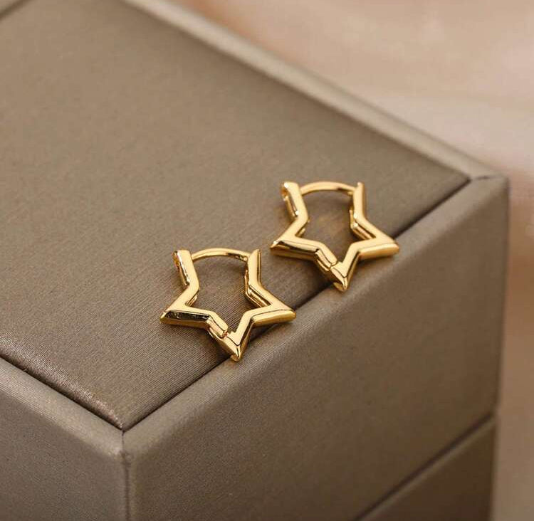 Stainless Steel Star / Heart Huggies Earrings