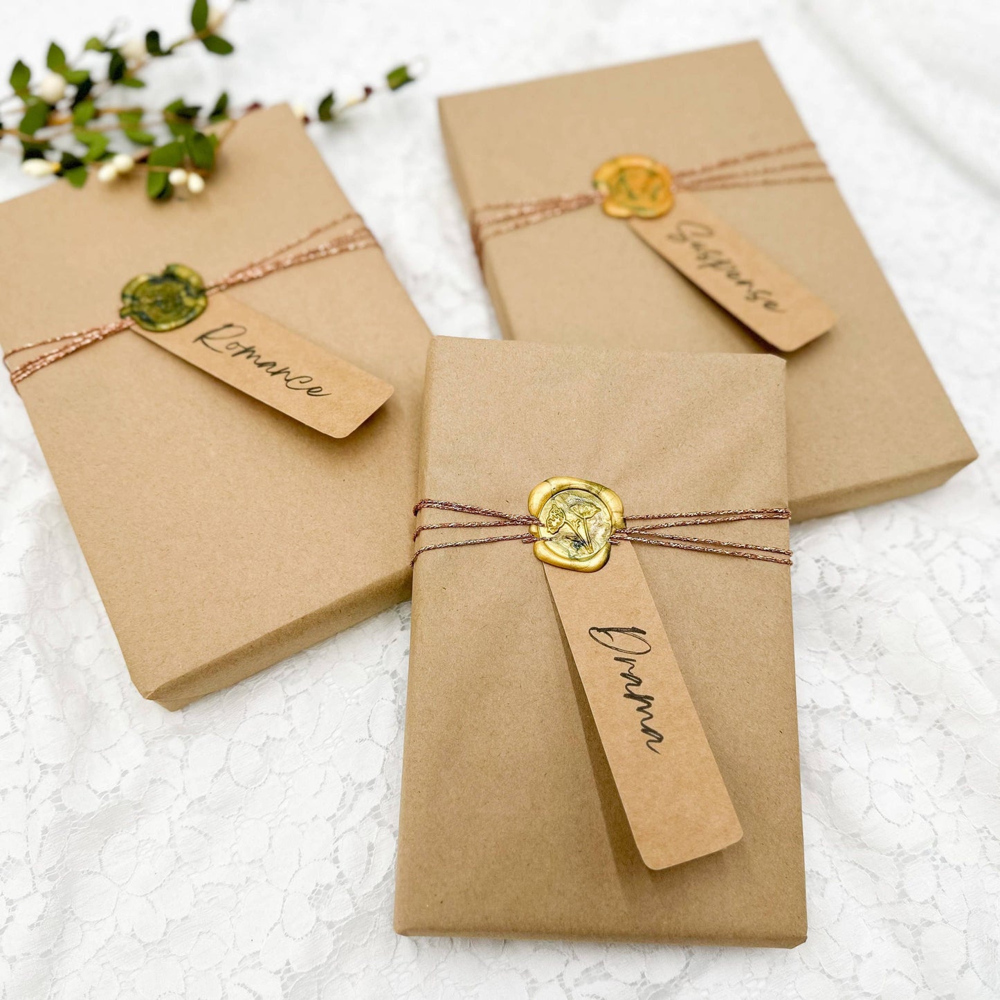 Blind Date With A Book- You Choose Genre, Surprise