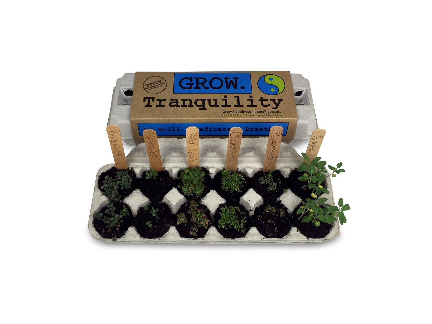 Tranquility Garden Grow Kit