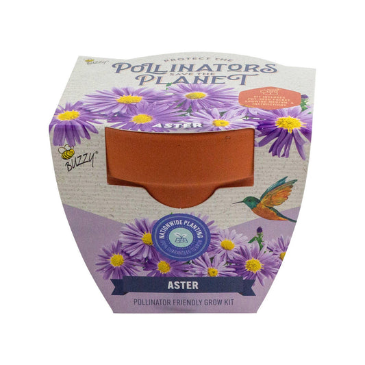 Buzzy Seeds - Pollinator Classic Terracotta - Aster
