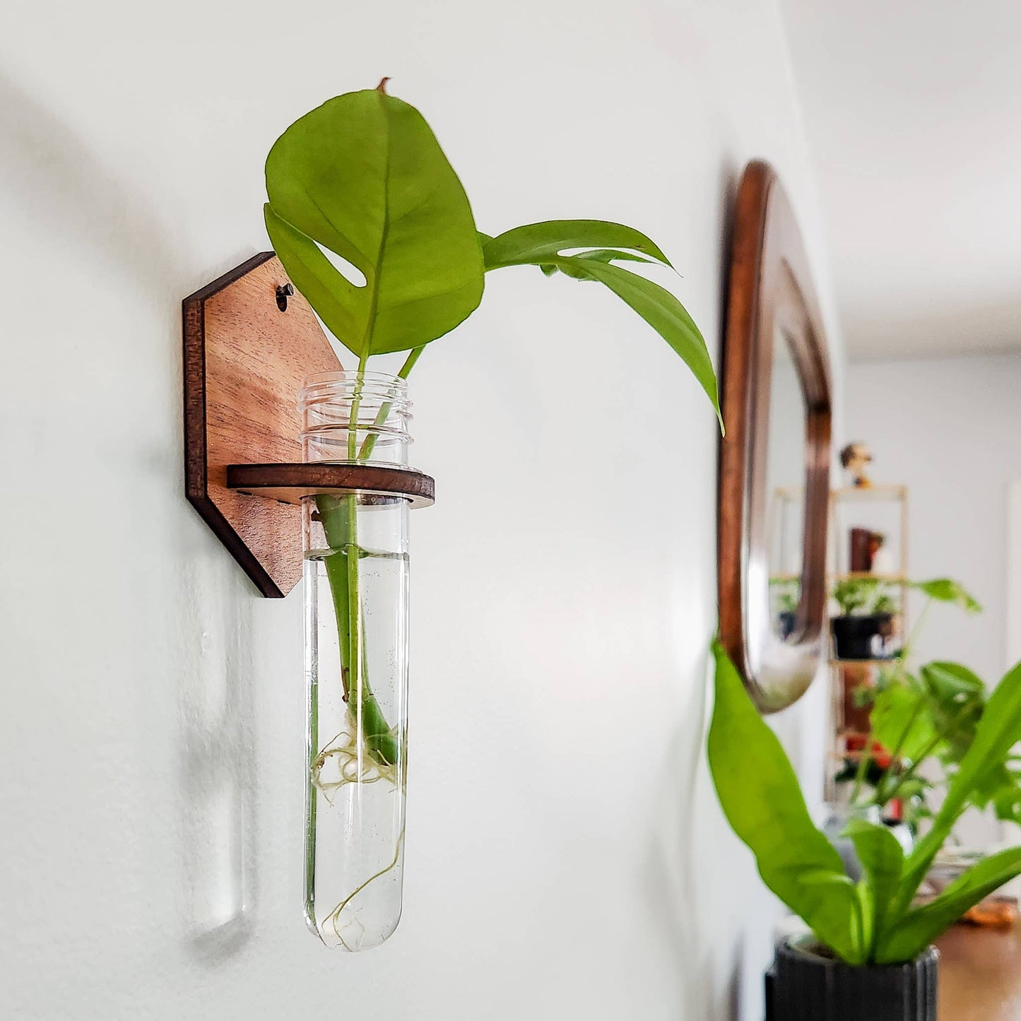 Wall Hanging Propagation Station - Wooden Solid Hexagon