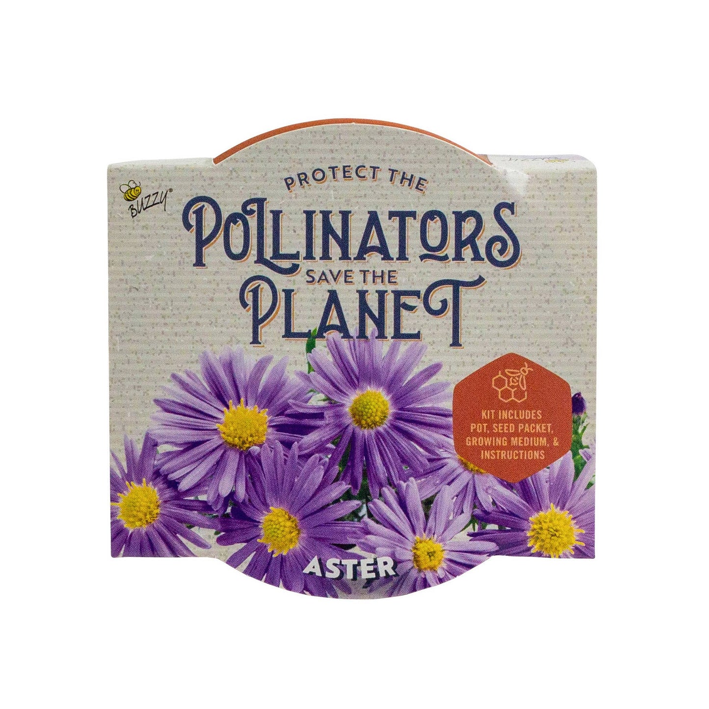 Buzzy Seeds - Pollinator Classic Terracotta - Aster