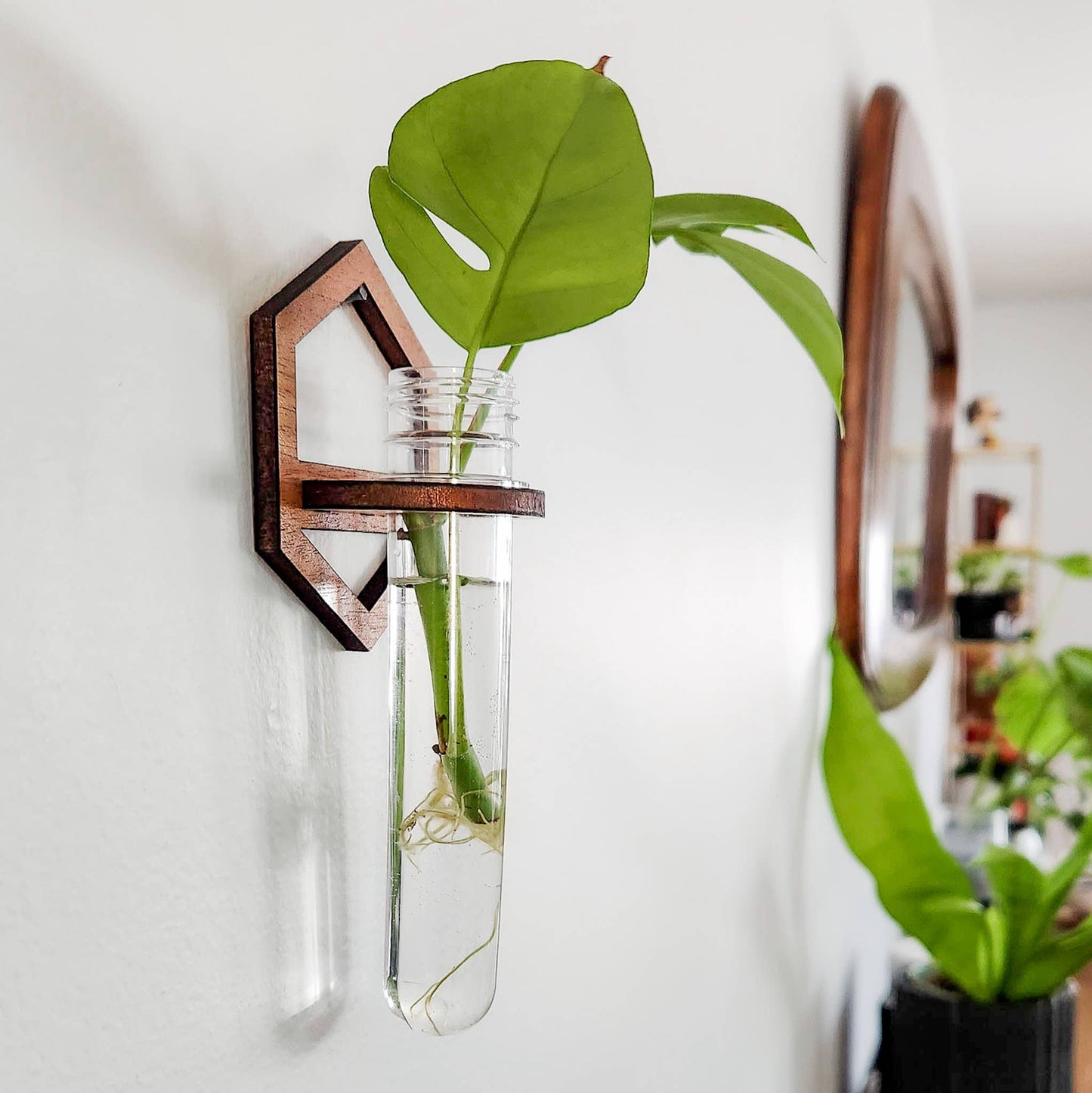 Wall Hanging Propagation Station - Wooden Hexagon Outline