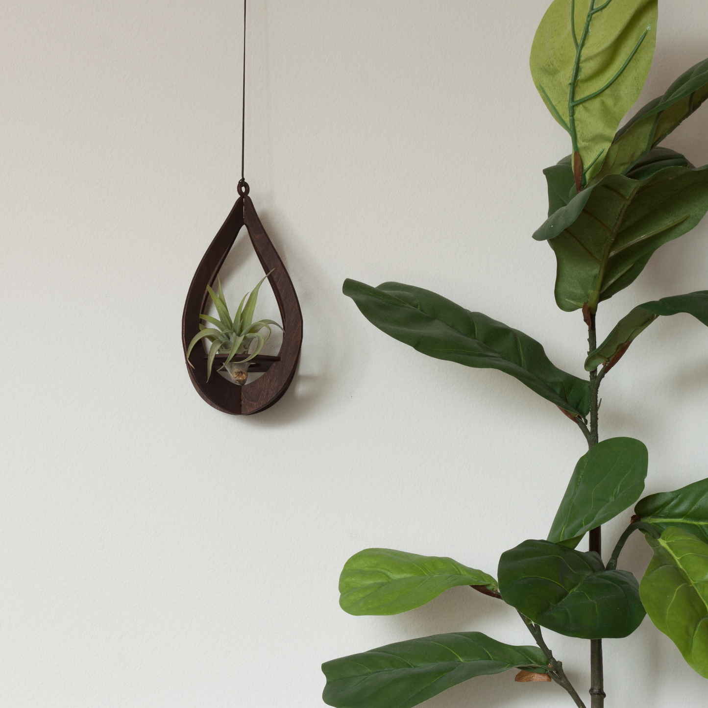 Air Plant Hanger Teardrop Walnut