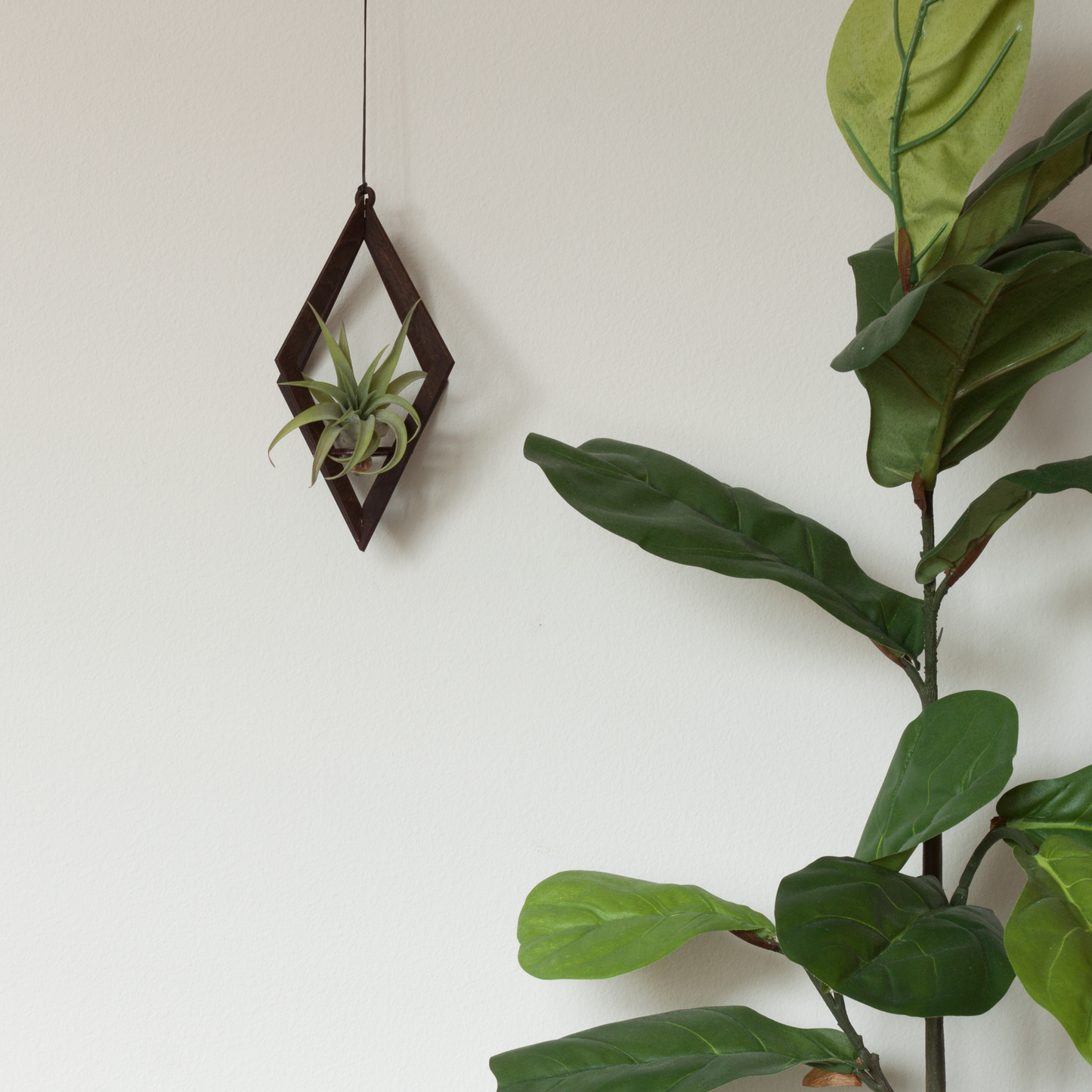 Air Plant Hanger Diamond Walnut