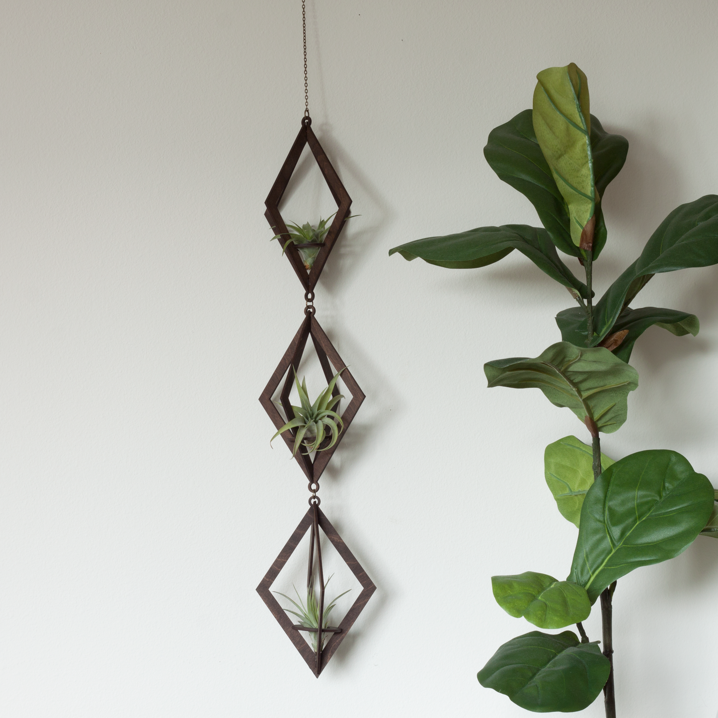 Air Plant Hanger Trio Walnut