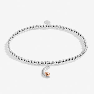 A LITTLE | LOVE YOU TO THE MOON AND BACK