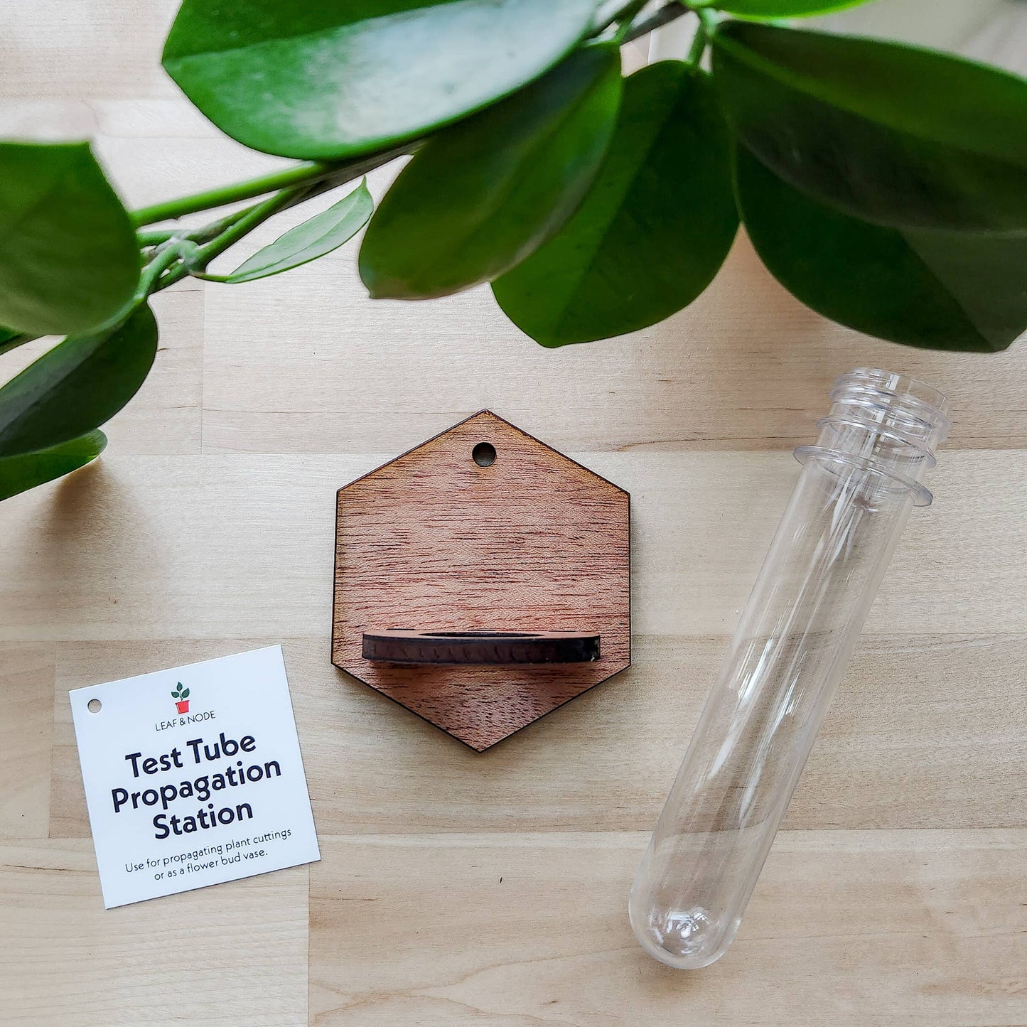 Wall Hanging Propagation Station - Wooden Solid Hexagon