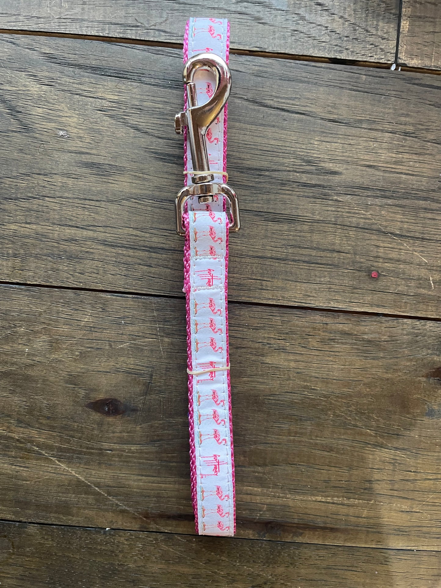 Dog Leash 6 Ft. Lead - 3/4in