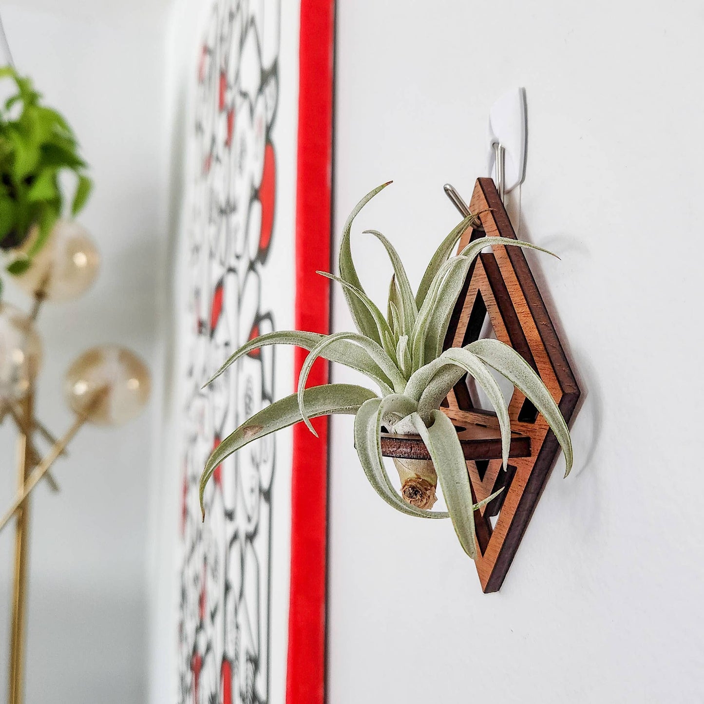 Air Plant Holder Display, Wall Hanging, Wood Diamond Design