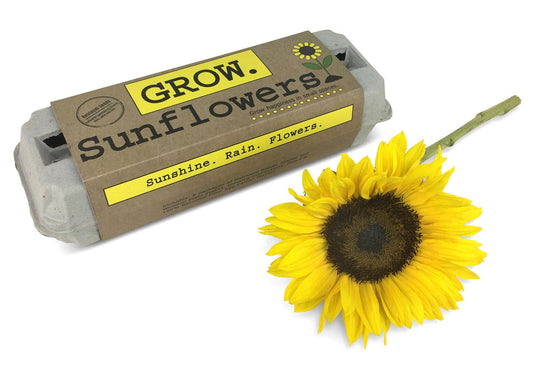 Sunflower Garden Grow Kit