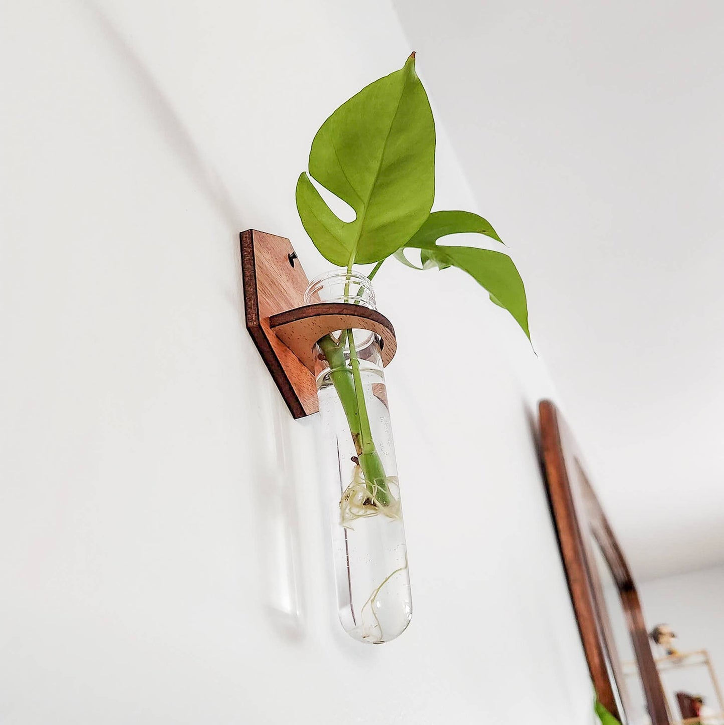 Wall Hanging Propagation Station - Wooden Solid Hexagon