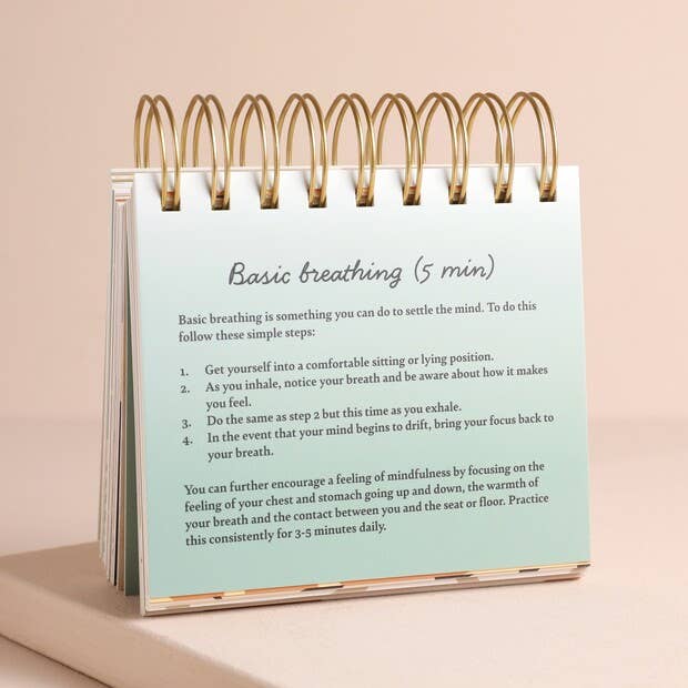 Daily Mindfulness Flip Book
