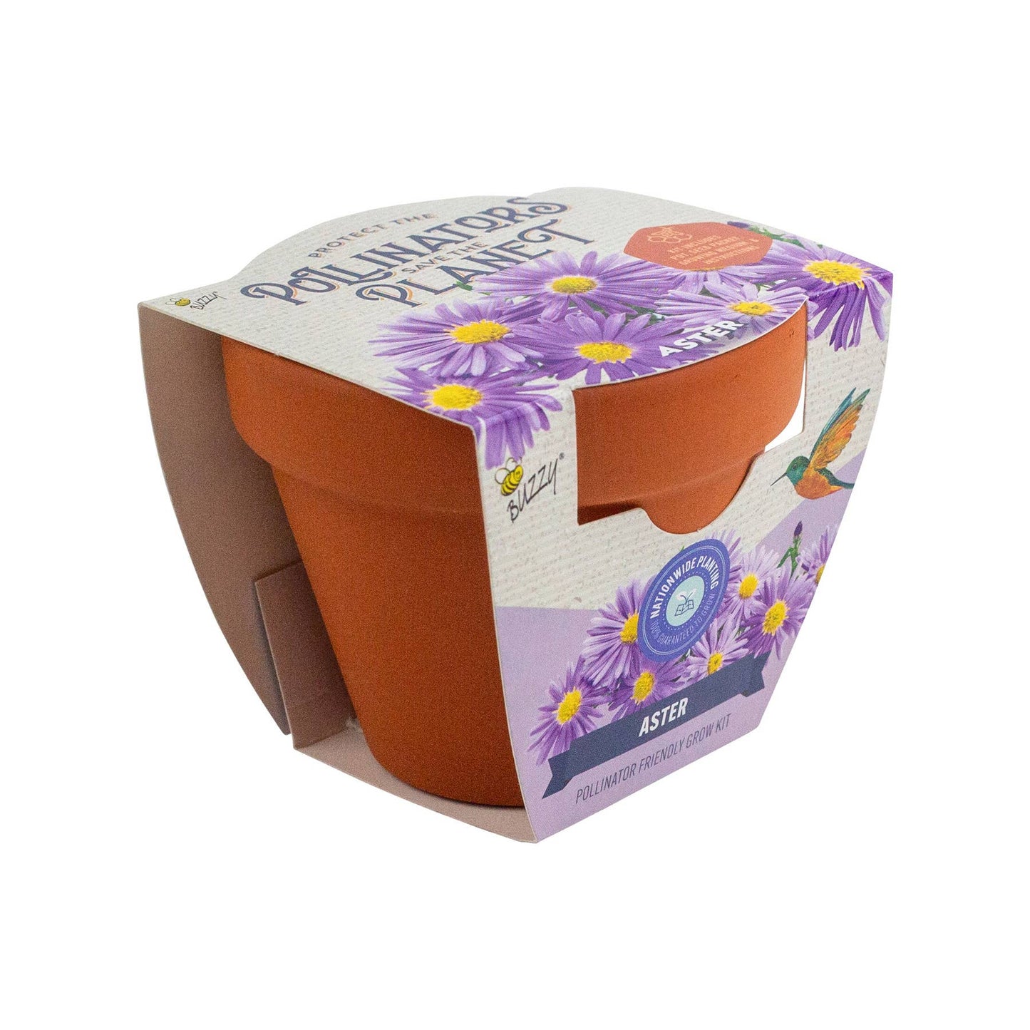 Buzzy Seeds - Pollinator Classic Terracotta - Aster