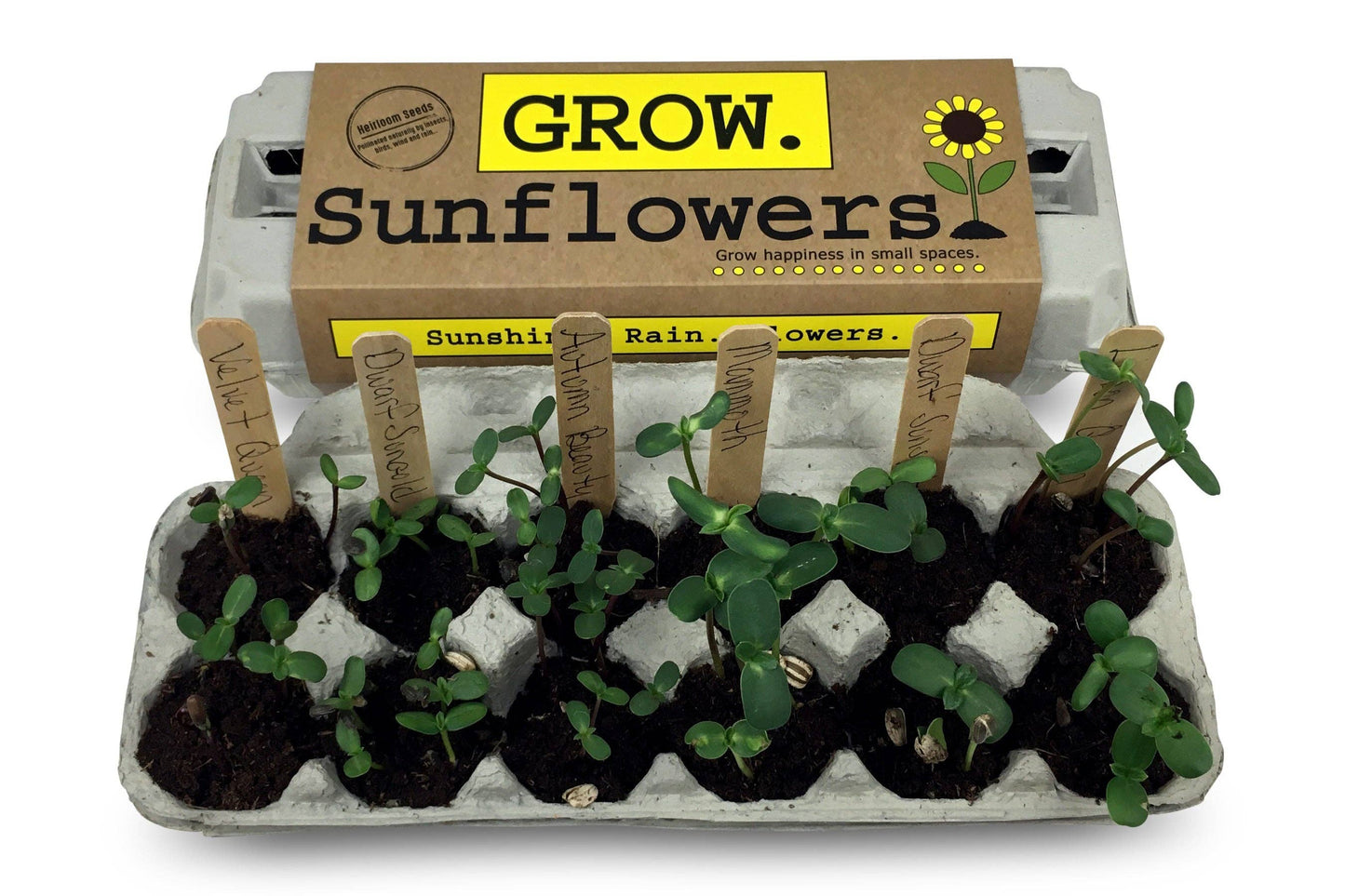 Sunflower Garden Grow Kit