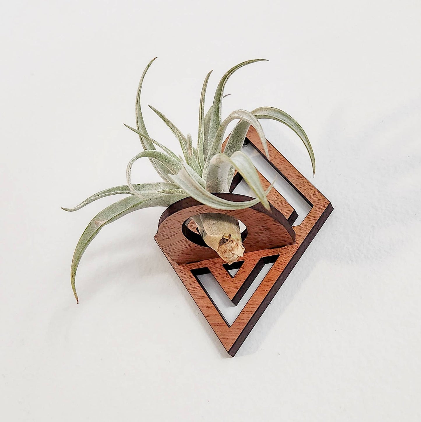 Air Plant Holder Display, Wall Hanging, Wood Diamond Design