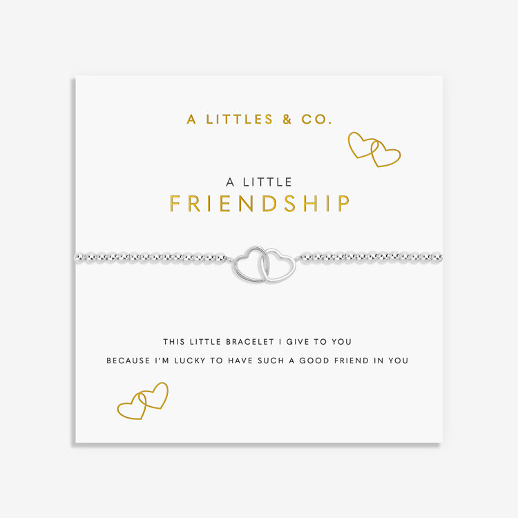 A LITTLE | FRIENDSHIP