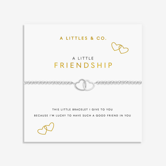 A LITTLE | FRIENDSHIP