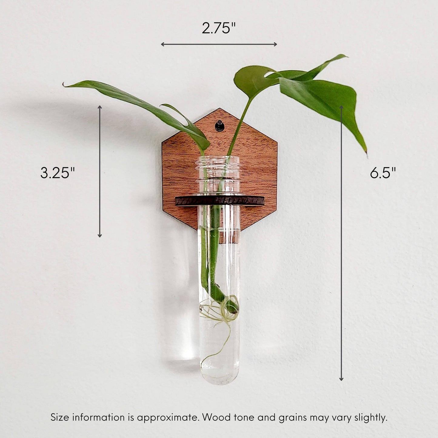 Wall Hanging Propagation Station - Wooden Solid Hexagon