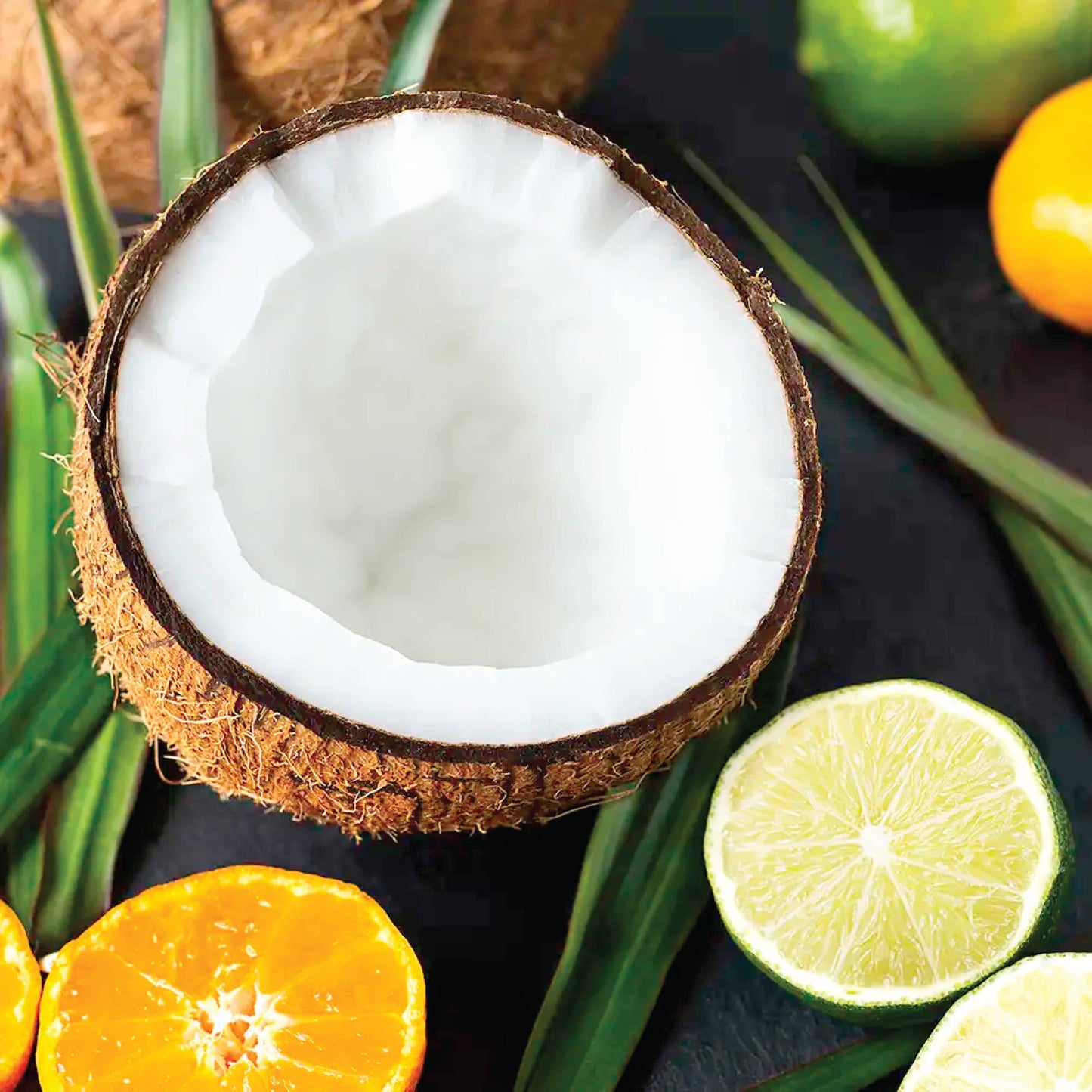 Coconut Lime Verbena Scented Dough Bowl - Citrus Scented Can