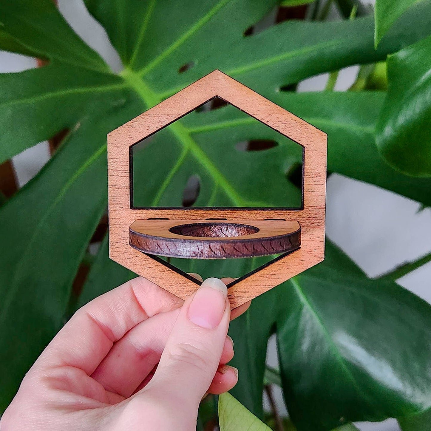 Wall Hanging Propagation Station - Wooden Hexagon Outline