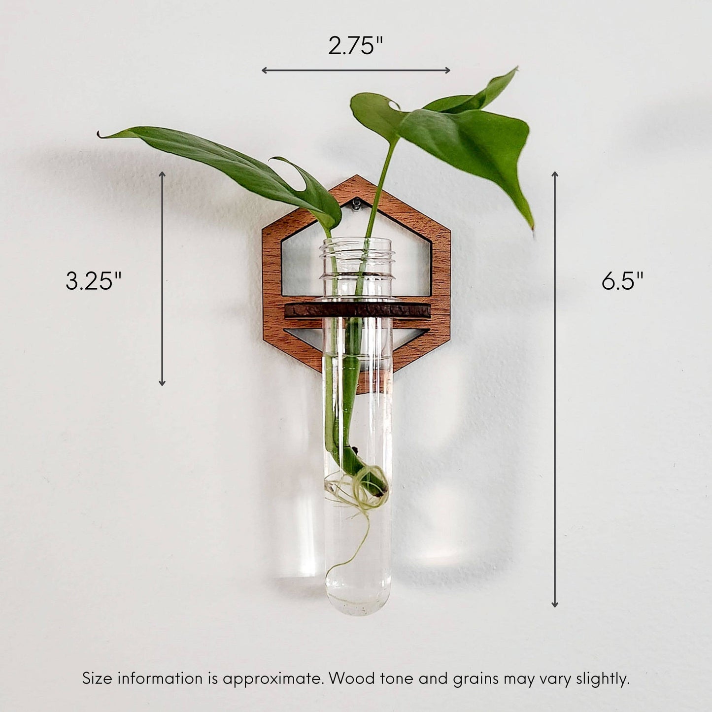 Wall Hanging Propagation Station - Wooden Hexagon Outline