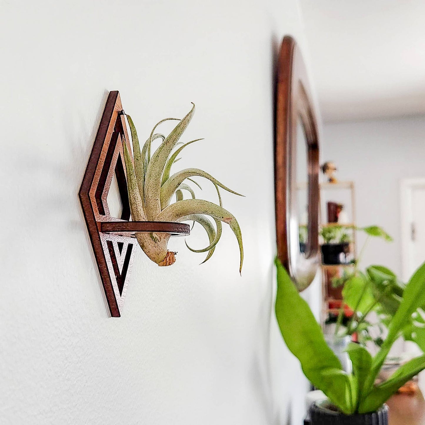 Air Plant Holder Display, Wall Hanging, Wood Diamond Design