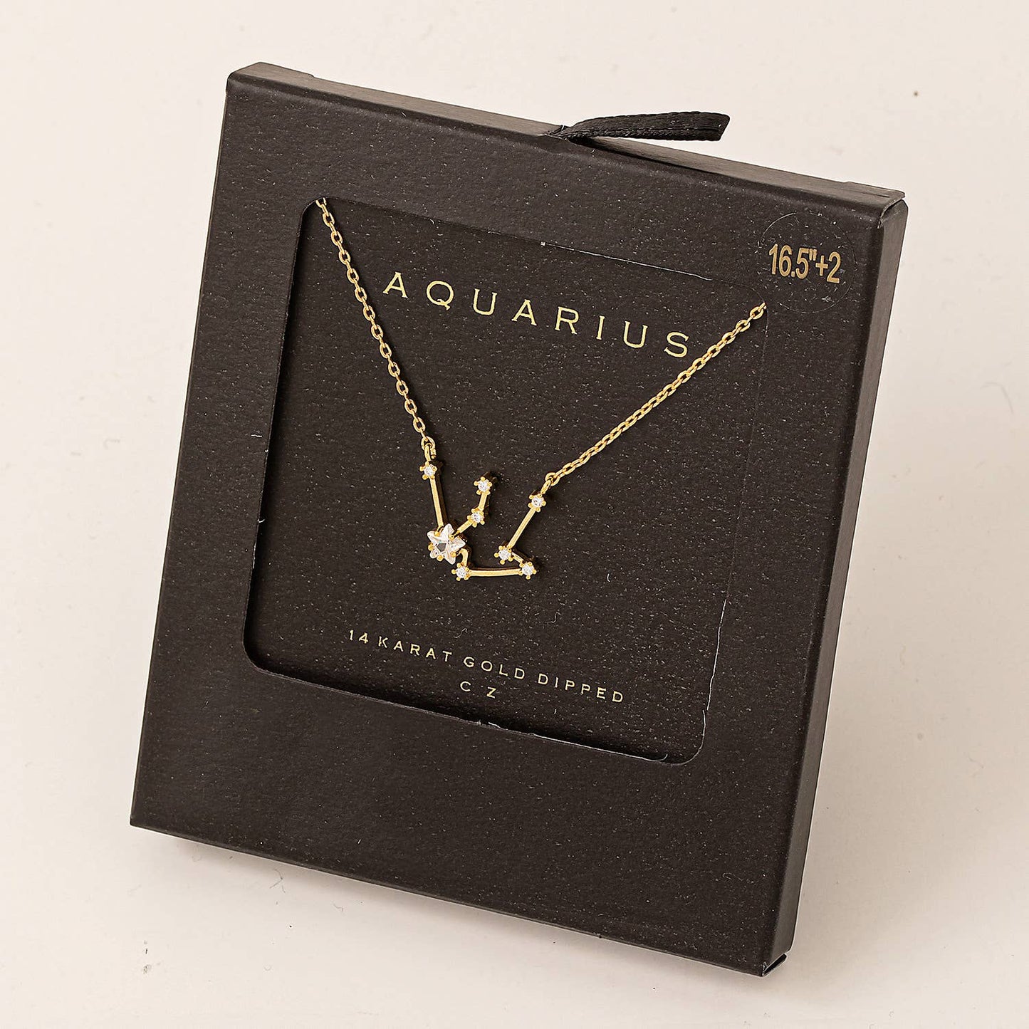 Secret Box Aquarius Constellation Necklace