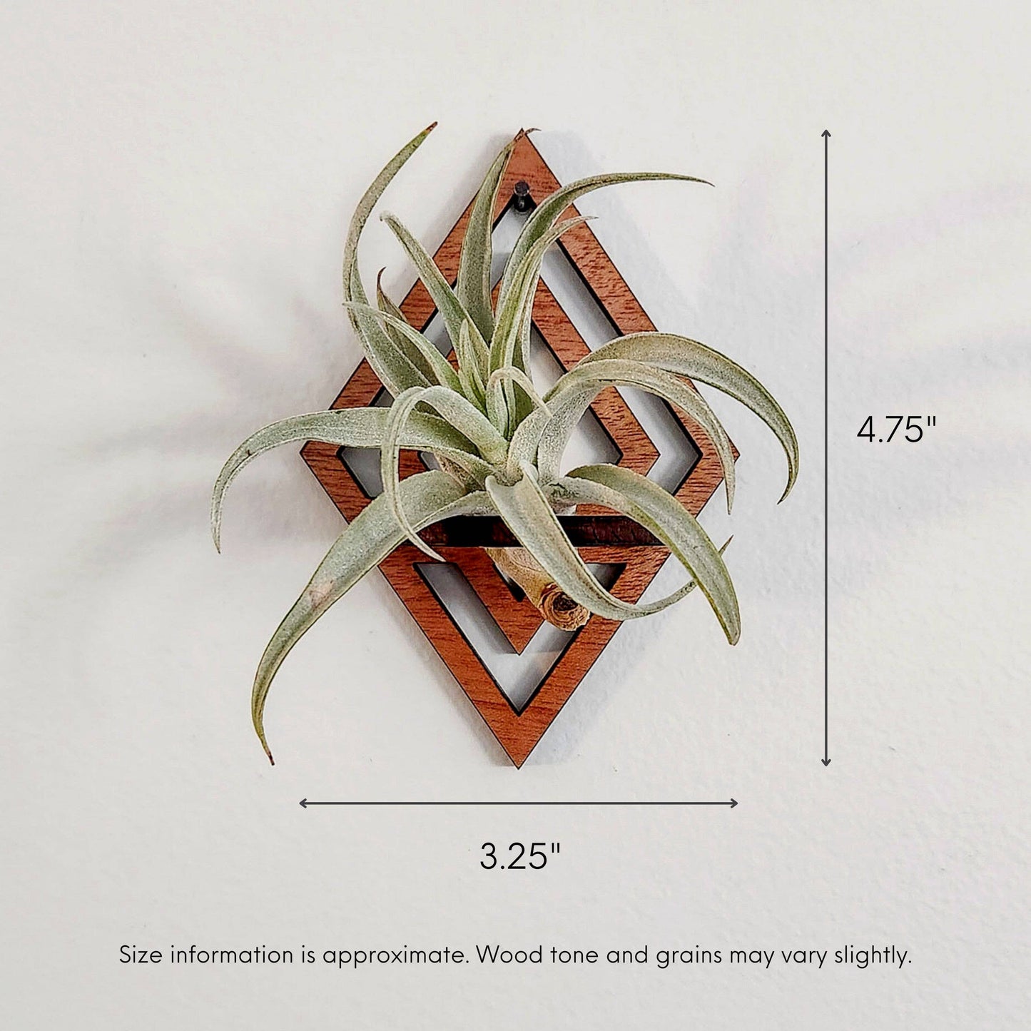 Air Plant Holder Display, Wall Hanging, Wood Diamond Design