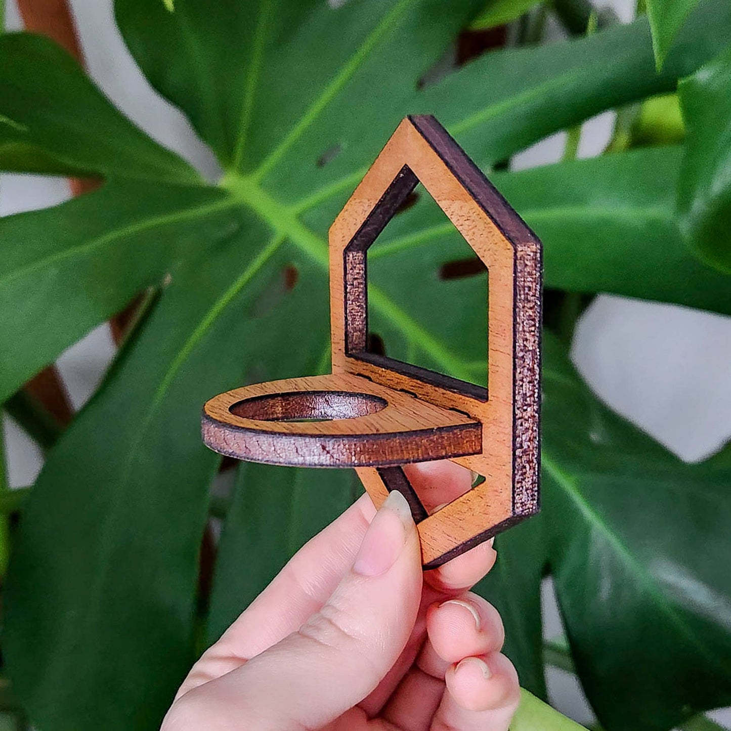 Wall Hanging Propagation Station - Wooden Hexagon Outline