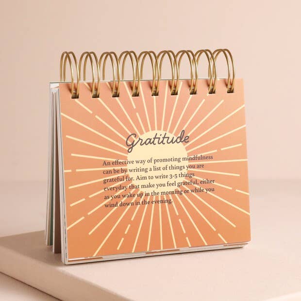 Daily Mindfulness Flip Book