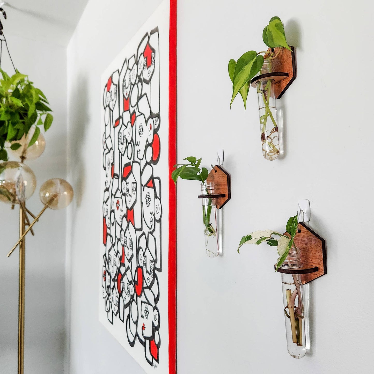 Wall Hanging Propagation Station - Wooden Solid Hexagon