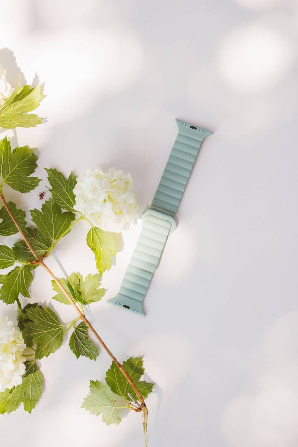 Aloe Magnetic Loop Watch Band