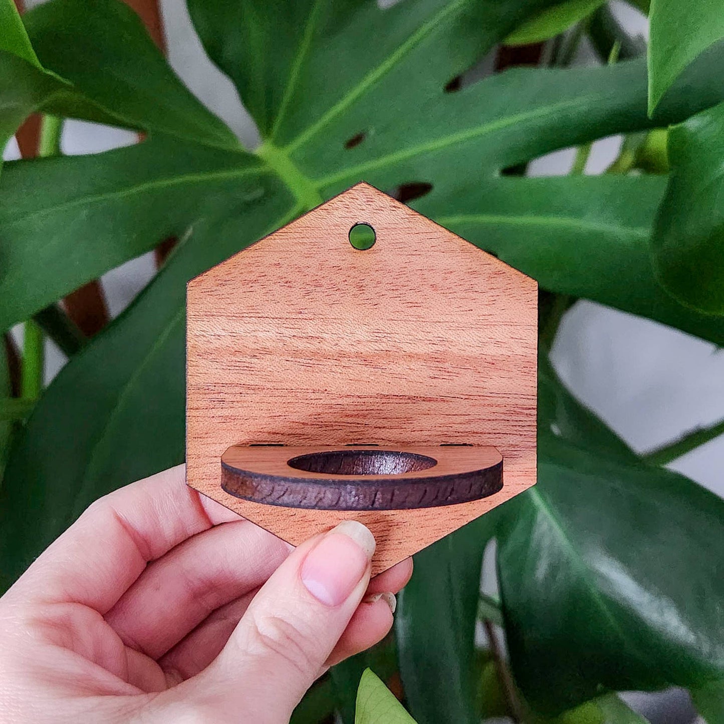 Wall Hanging Propagation Station - Wooden Solid Hexagon