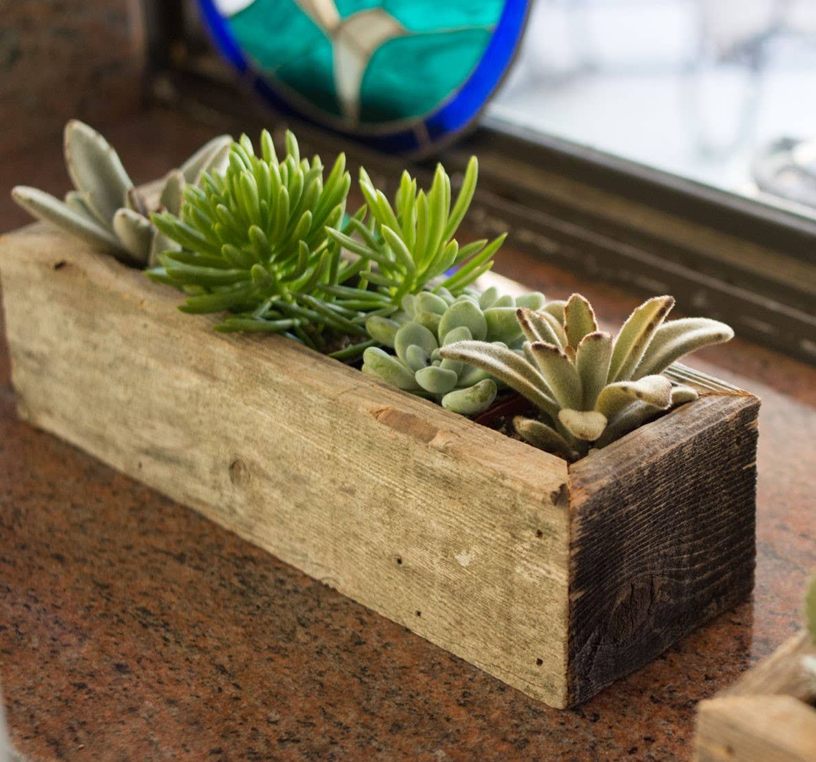 Reclaimed Wood Succulent Planter - Medium Trough