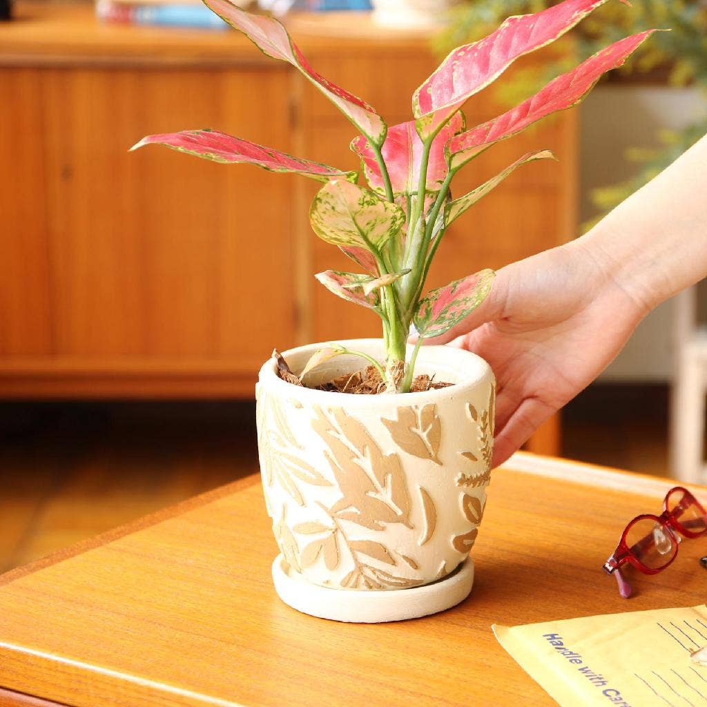 Elemental Cement Planter Botanical