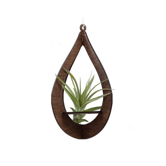 Air Plant Hanger Teardrop Walnut