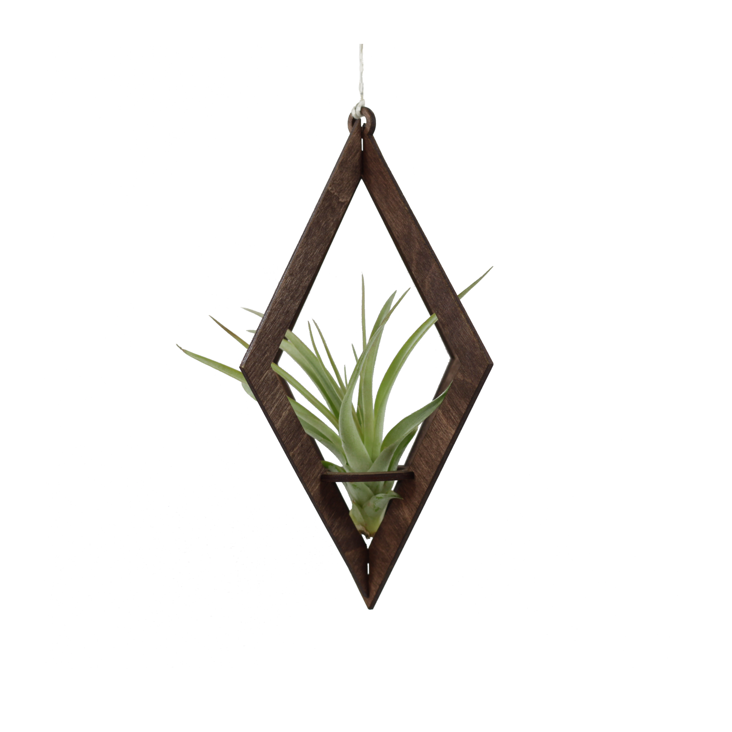 Air Plant Hanger Diamond Walnut