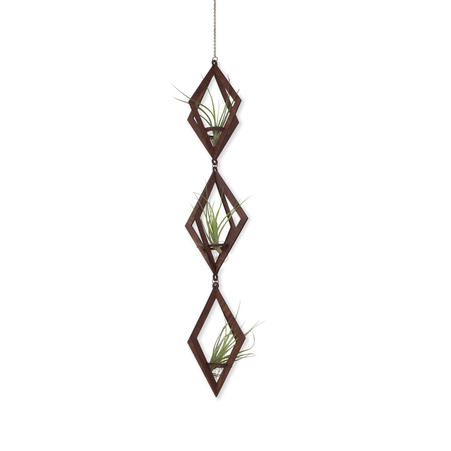 Air Plant Hanger Trio Walnut