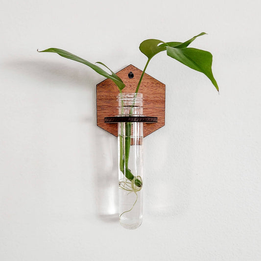 Wall Hanging Propagation Station - Wooden Solid Hexagon