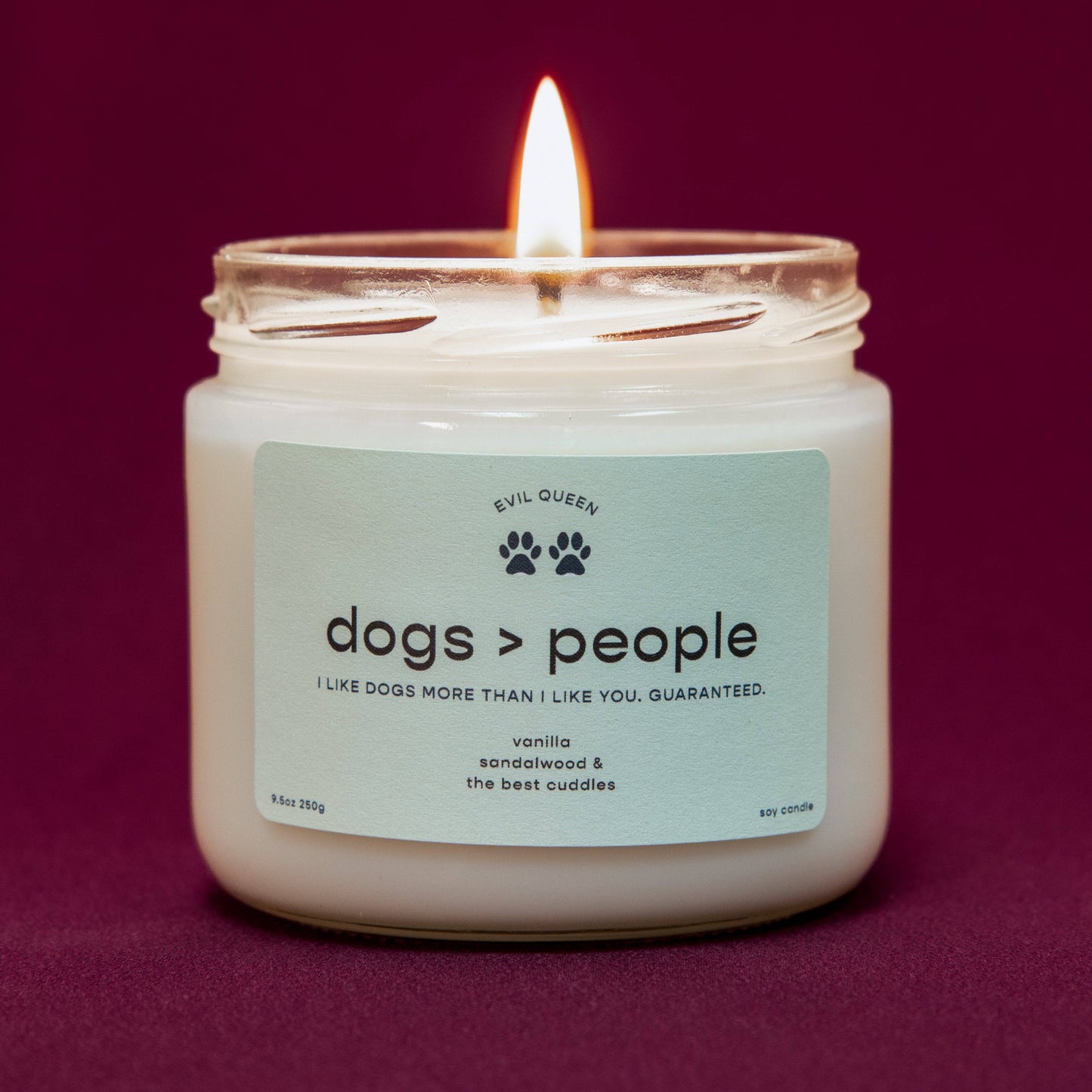 Dogs > People - 100% Soy Candle