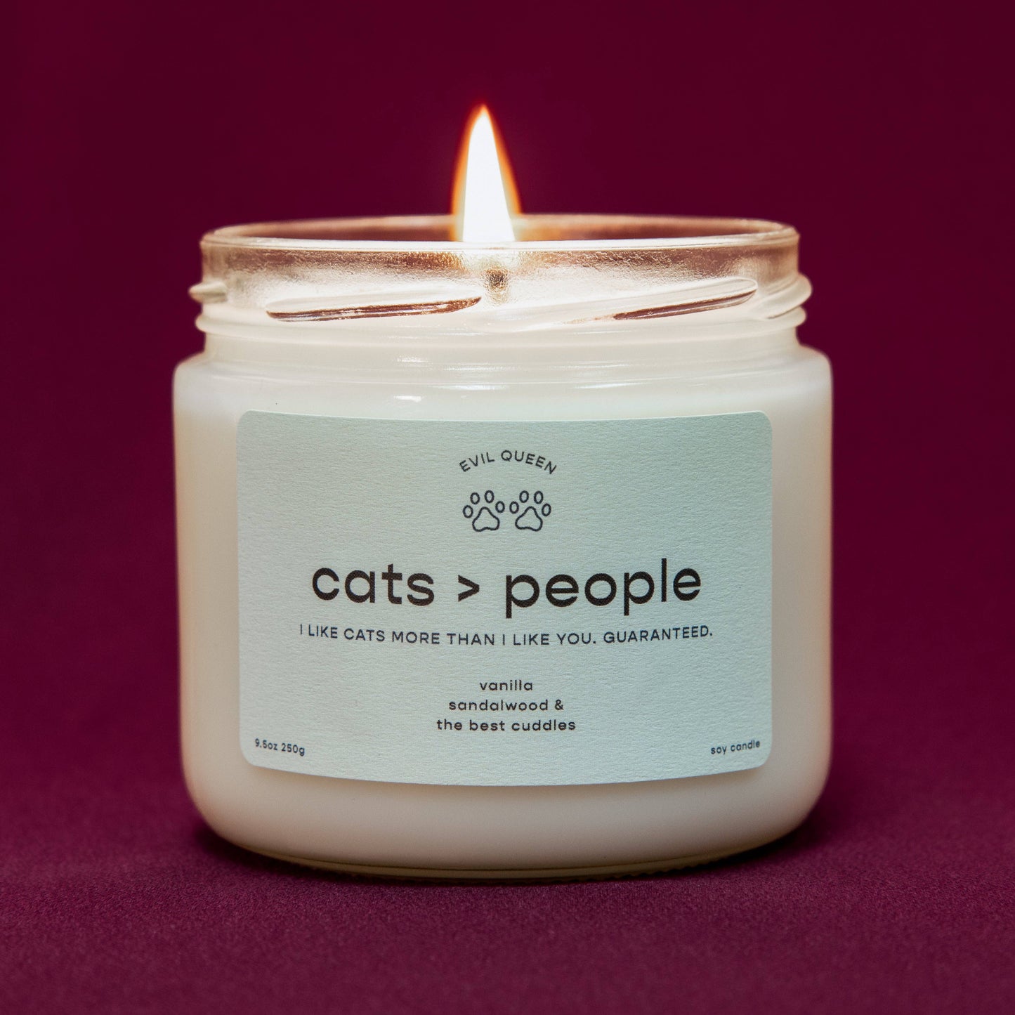 Cats > People - 100% Soy Candle